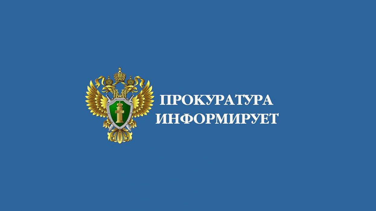 Проведена проверка исполнения лесного законодательства в КГБУ «Балахтинское лесничество».